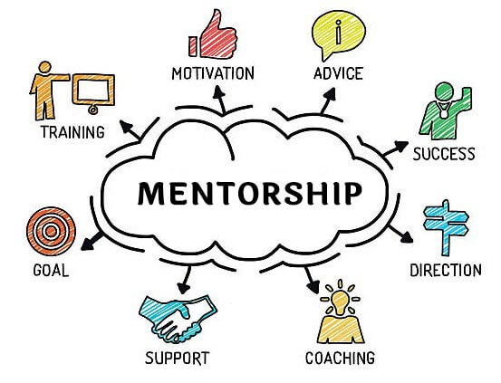 Mentorship from Domain Experts